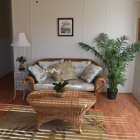 Gray Heron House-2